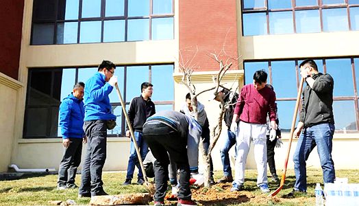2019年尊龙凯时人生就是博实业集团植树运动